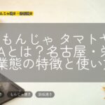 月島もんじゃ タマトヤ HAERAとは?名古屋・栄の新業態の特徴と使い方
